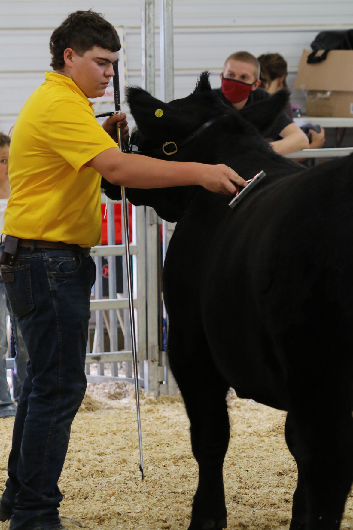 PHOTOS: Market Beef Show 2020